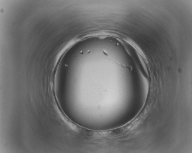 X0000062170813200512161249