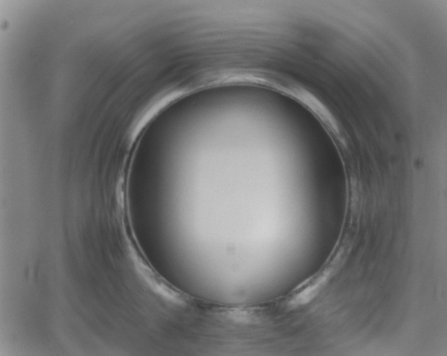 X0000062170814200512161249