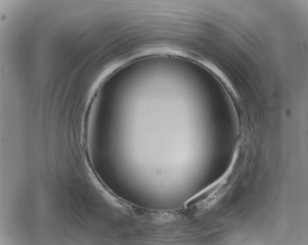 X0000062170815200512161249