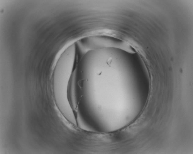 X0000062170816200512161249