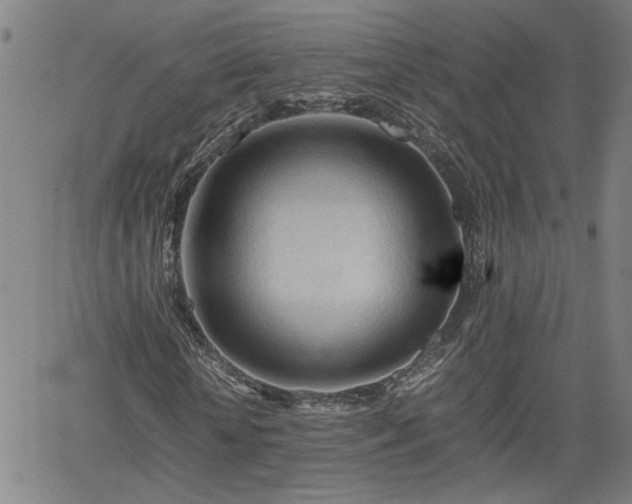 X0000062170818200512161249