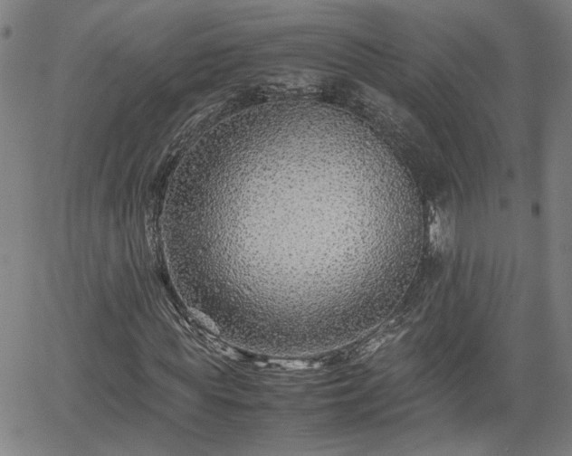 X0000062170819200512161249