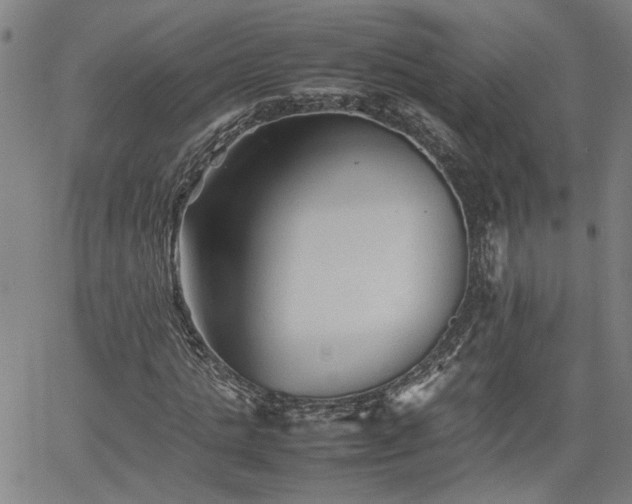 X0000062170821200512161249