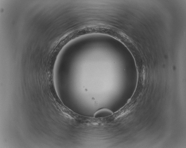 X0000062170822200512161249