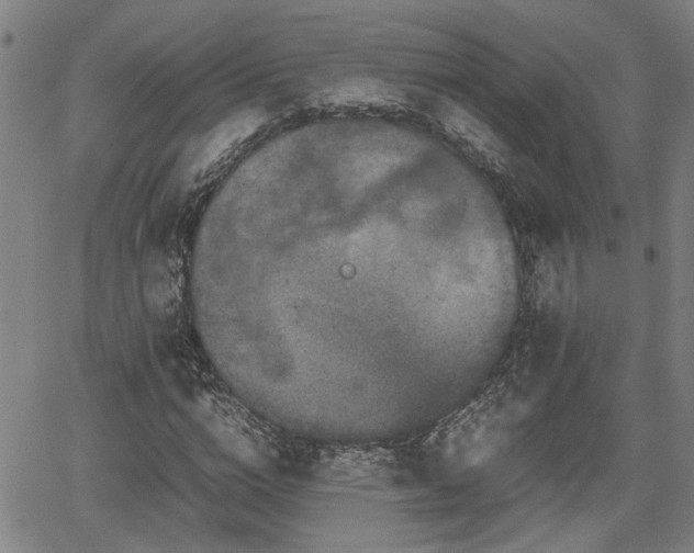 X0000062170824200512161249