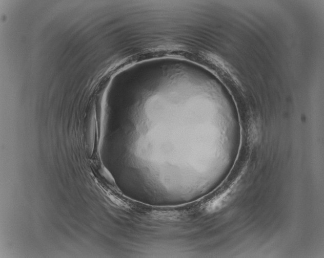 X0000062170825200512161249