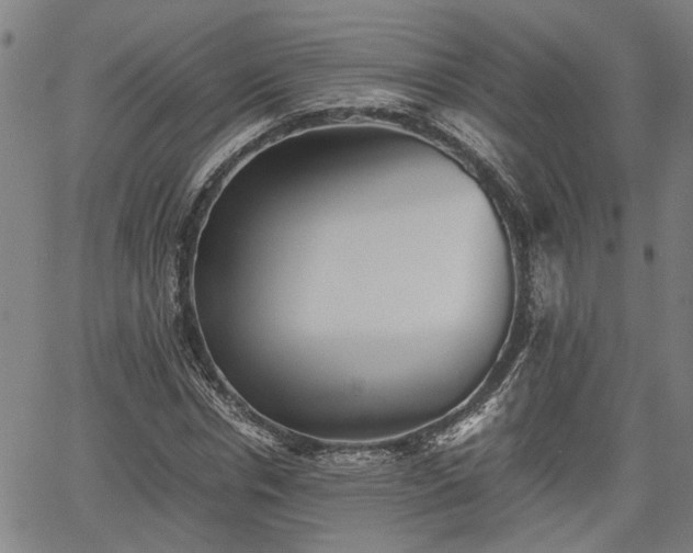 X0000062170826200512161249