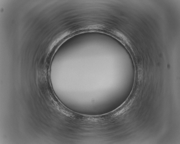 X0000062170827200512161249