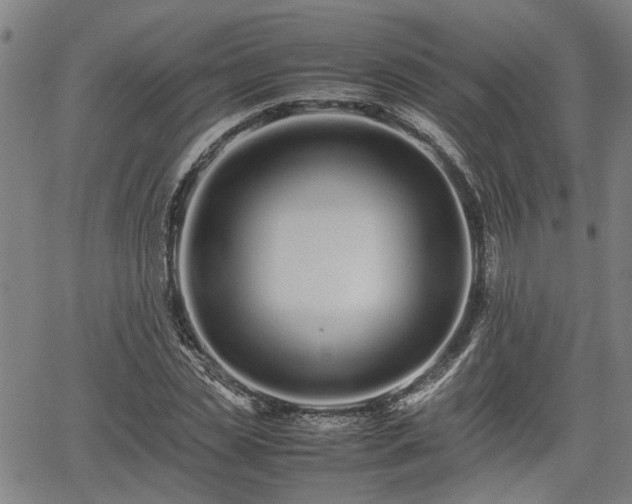 X0000062170829200512161249