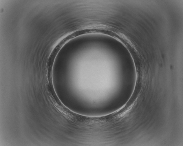 X0000062170830200512161249