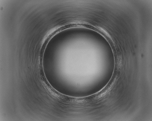 X0000062170831200512161249