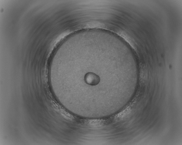 X0000062170832200512161249