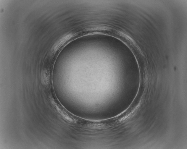 X0000062170833200512161249