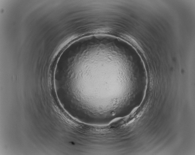 X0000062170835200512161249