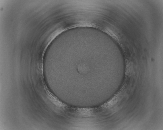 X0000062170836200512161249