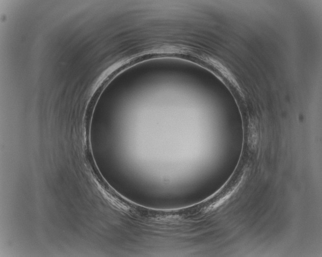 X0000062170837200512161249