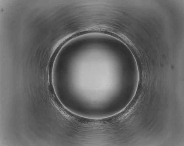 X0000062170838200512161249