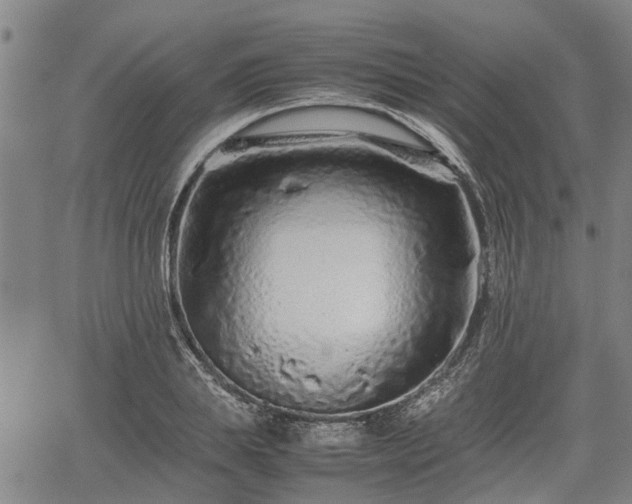 X0000062170839200512161249