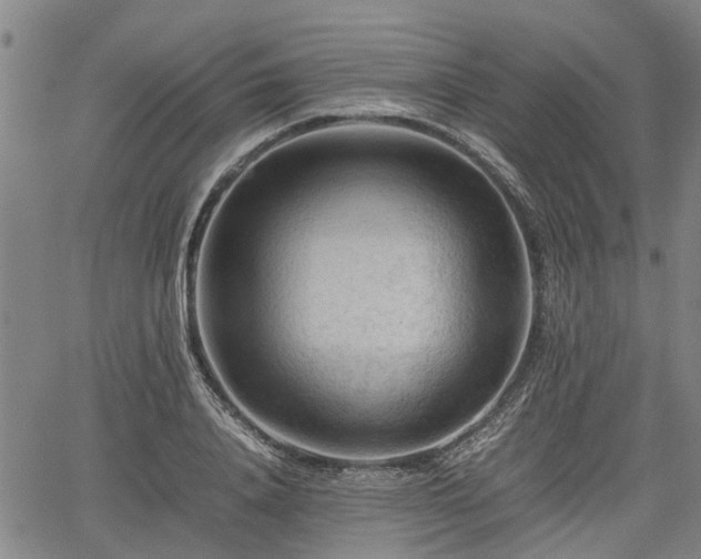 X0000062170840200512161249