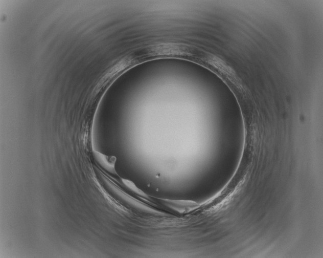 X0000062170841200512161249