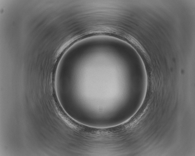 X0000062170842200512161249