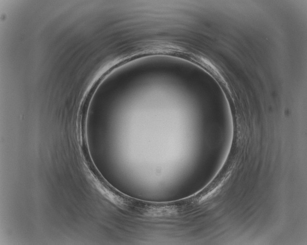 X0000062170843200512161249