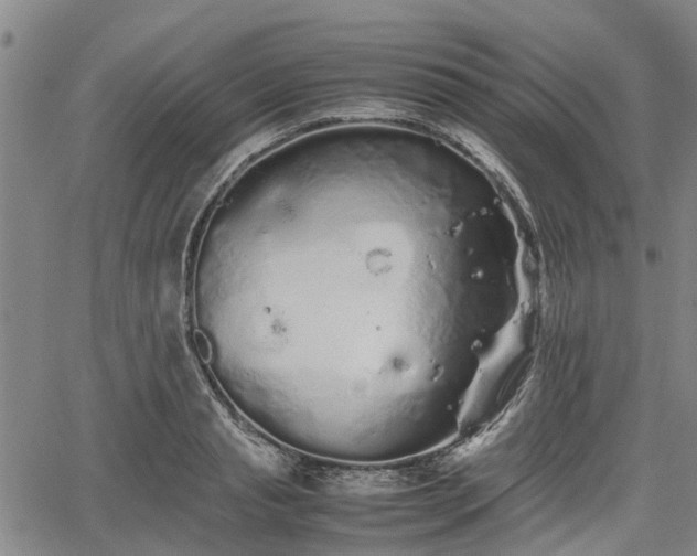 X0000062170845200512161249