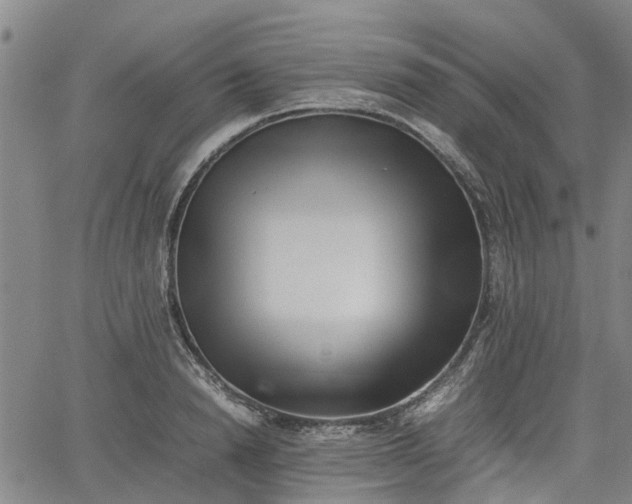 X0000062170846200512161249