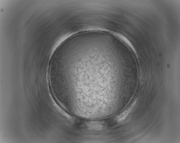 X0000062170847200512161249