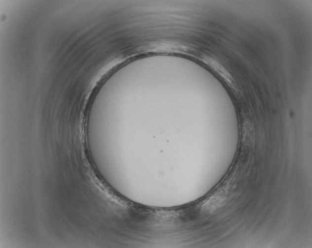 X0000062170848200512161249