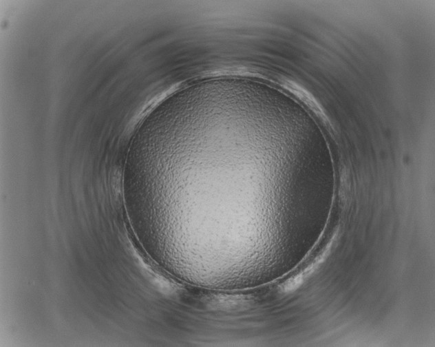 X0000062170849200512161249