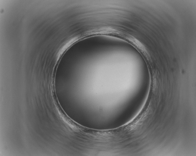 X0000062170850200512161249