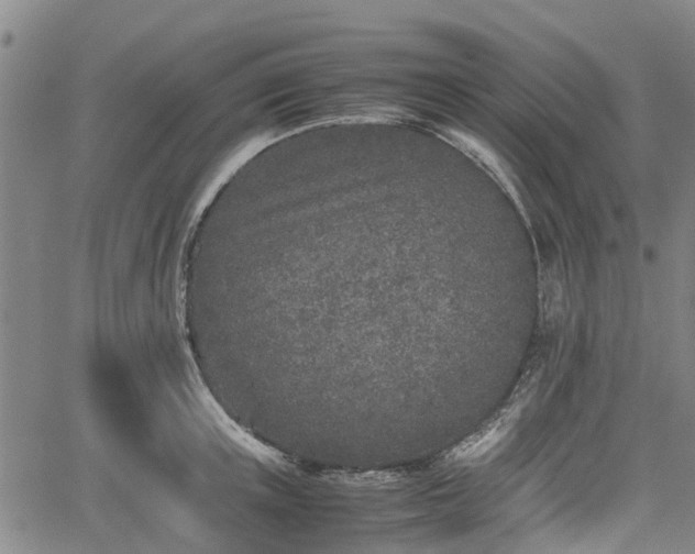 X0000062170851200512161249