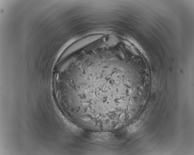 X0000062170853200512161249