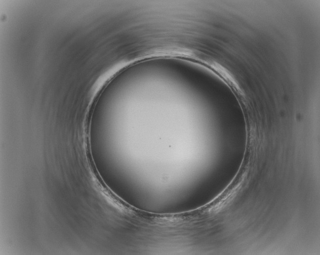 X0000062170854200512161249