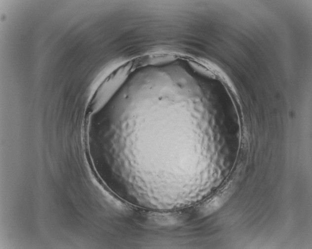 X0000062170855200512161249