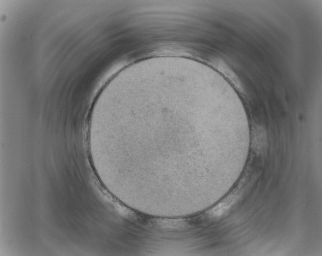 X0000062170856200512161249