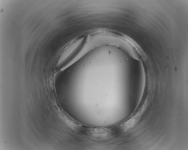 X0000062170857200512161249