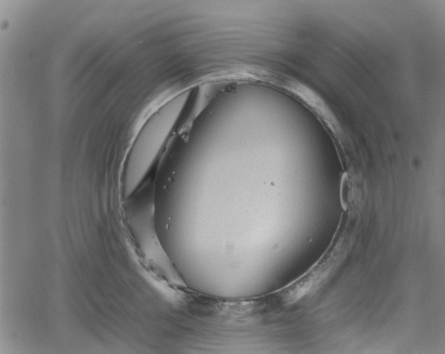 X0000062170858200512161249