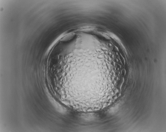 X0000062170859200512161249