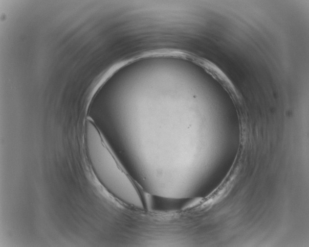 X0000062170860200512161249