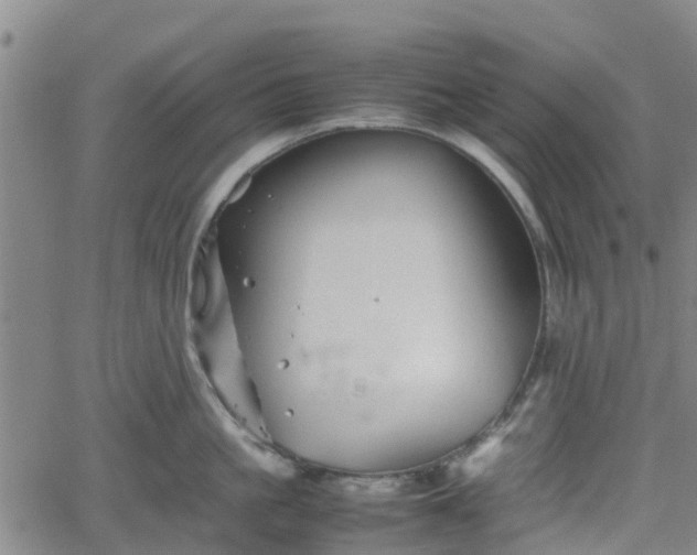 X0000062170861200512161249