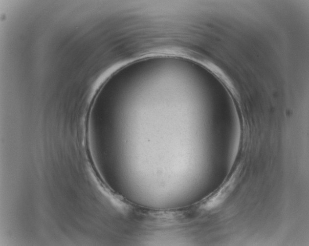 X0000062170862200512161249