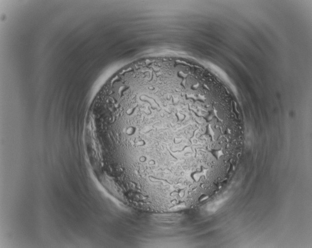 X0000062170863200512161249