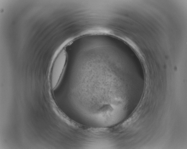 X0000062170864200512161249