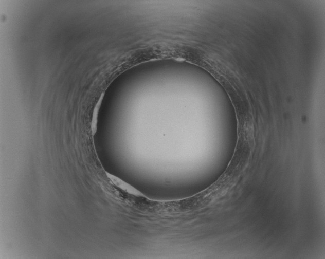 X0000062170865200512161249