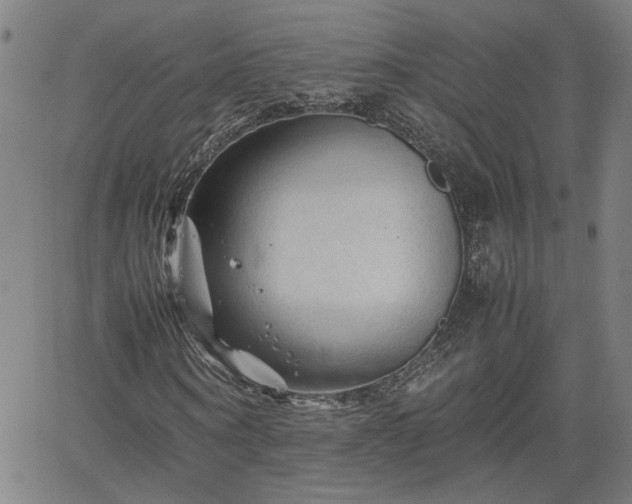 X0000062170866200512161249