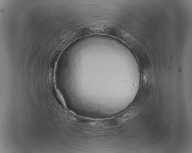 X0000062170867200512161249