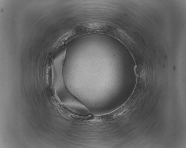 X0000062170868200512161249