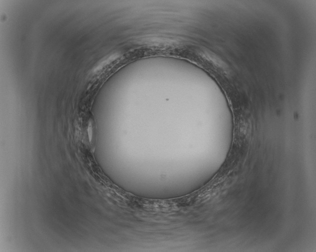 X0000062170869200512161248